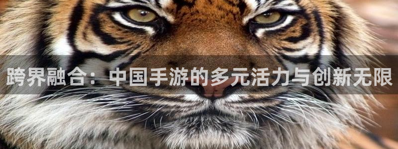 V8娱乐：跨界融合：中国手游的多元活力与创新无限
