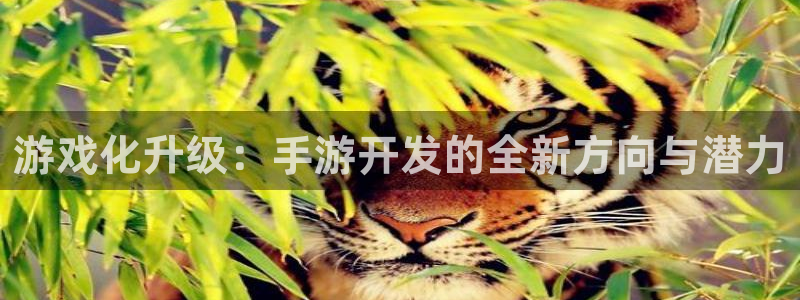 V8娱乐官网：游戏化升级：手游开发的全新方向与潜力