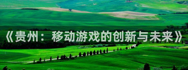 V8娱乐登录：《贵州：移动游戏的创新与未来》