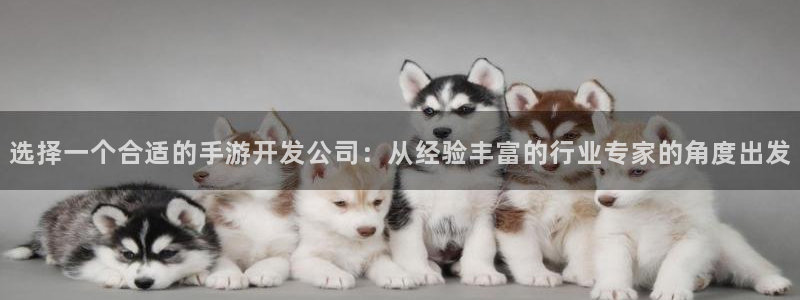 V8娱乐：选择一个合适的手游开发公司：从经验丰富的行业专家的