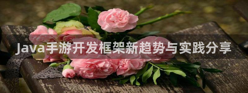 V8娱乐平台：Java手游开发框架新趋势与实践分享