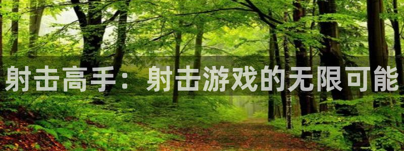 V8娱乐：射击高手：射击游戏的无限可能