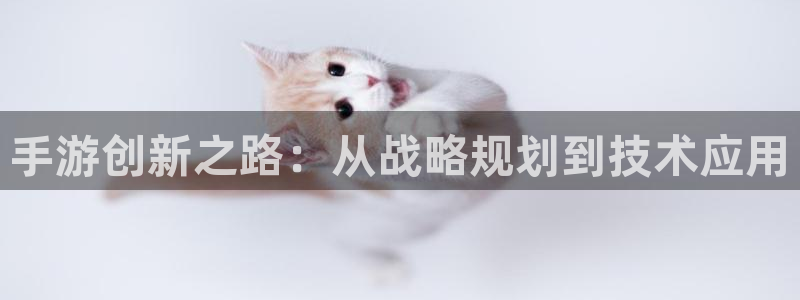 V8娱乐登录：手游创新之路：从战略规划到技术应用