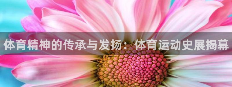 三亿体育登录