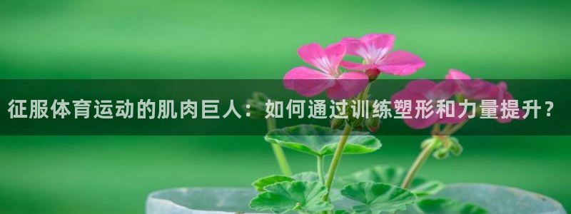三亿体育网