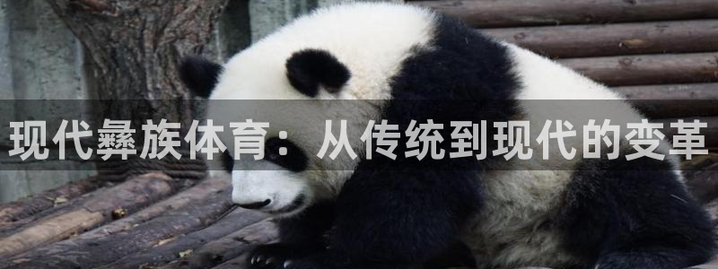 三亿体育网