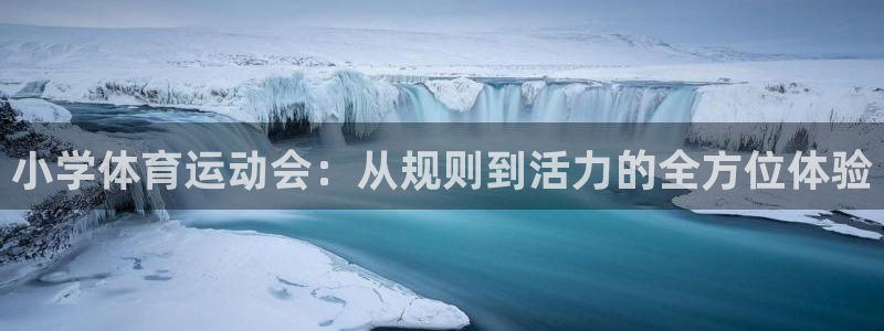 三亿体育