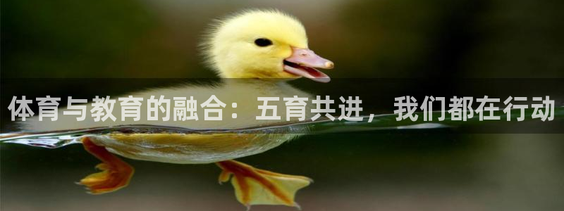 三亿体育登录